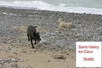 Cjp_2010_04_14_132852 (1).jpg